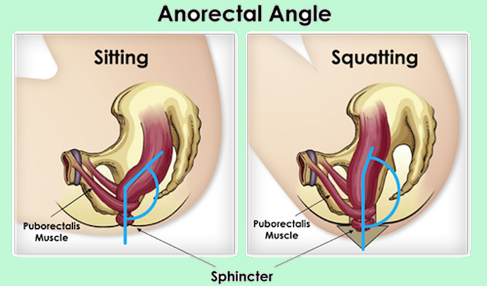 anorectal-angle