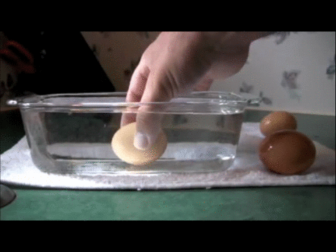 su-ile-yumurtanin-tazelik-testi-2