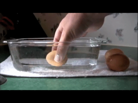 su-ile-yumurtanin-tazelik-testi-bozuk-3