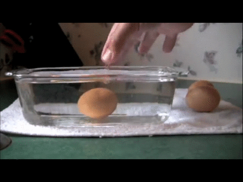 su-ile-yumurtanin-tazelik-testi