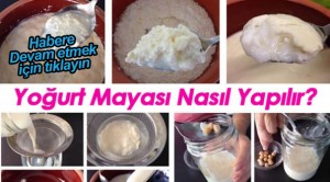 Yoğurt Mayası Nasıl Yapılır