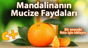 Mandalina ve Mandalinanın Faydaları