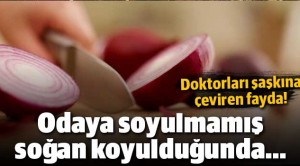 Soğanın mucize etkisi
