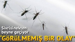 Bebekleri tehdit eden virüs korku salıyor