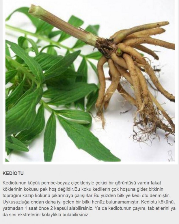 Uykusuzluk için doğal tedavi yöntemleri için görsele tıklayın ve galeriye devam edin...