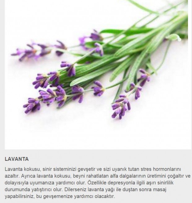 Uykusuzluk için doğal tedavi yöntemleri için görsele tıklayın ve galeriye devam edin...