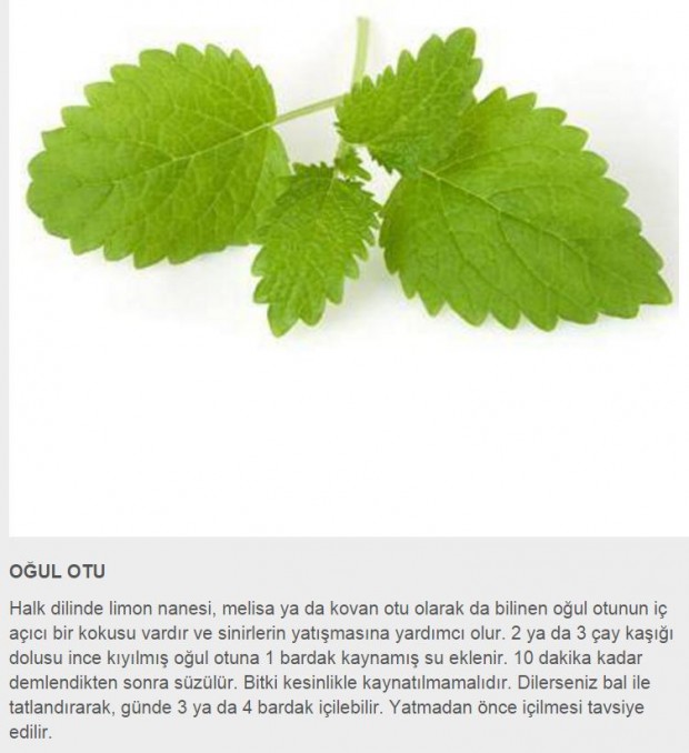 Uykusuzluk için doğal tedavi yöntemleri için görsele tıklayın ve galeriye devam edin...