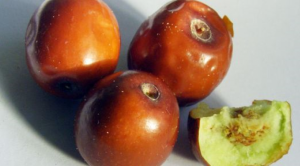 Hünnapın Sağlığa Faydaları