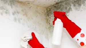 Küften Kurtulmak İçin Ev Yapımı Çözümler