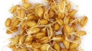 Kansere karşı en etkili doğal tarif
