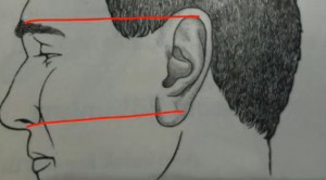 Kulak ve göz arasındaki mesaj