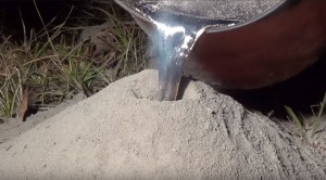 Karınca yuvasına eritilmiş alüminyum dökülürse…