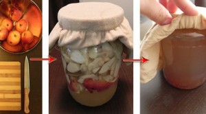 Elma sirkesi ile yağ yakıcı genleri aktifleştirme