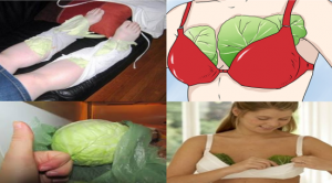 Lahana yapraklarının faydası