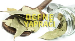Defne Yaprağı Çayı Nasıl Yapılır