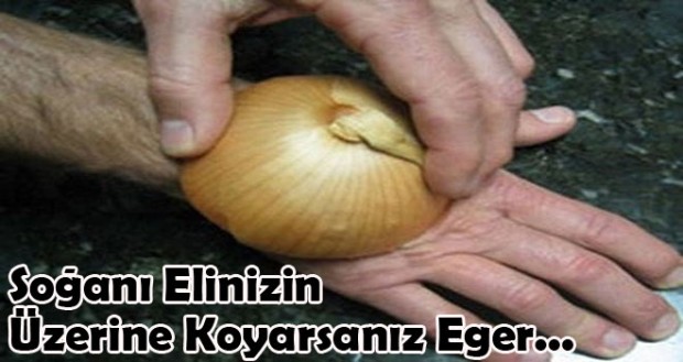 Soğanın vücuda 5 büyük faydası : Soğanın vücuda çok faydalı olduğu herkes tarafından kabul edilmektedir fakat bu yazıda sayacağımız Soğanın vücuda 5 büyük faydası sizin soğana olan ön yargılarınızı yıkacaktır. Organik olarak yetişmiş soğanı sofranızdan ayırmamanız gerekmektedir, uzmanlara göre sadece soğanın tedavi edebildiği hastalıklar vardır. İşte soğanın 5 önemli faydası.