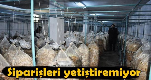 10 Bin lira ile başladı, şimdi siparişleri yetiştiremiyor! İşte herkesin yapabileceği o iş...Devamı için resme tıklayın