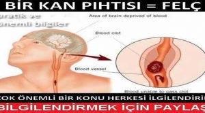 FELCİN tanımlanmasında ÜÇ TEST: “S.T.R.”