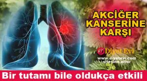 Akciğer kanserine ısırgan otu ebegümeci karışımı