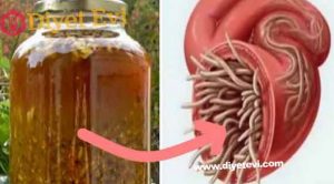 Vücuttaki enfeksiyonu ve parazitleri öldüren en güçlü doğal antibiyotik