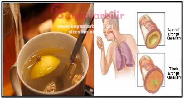 Akciğerden balgam söktüren bal zencefil limon karışımı