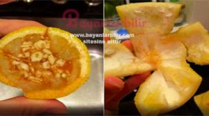 Limon kabuğu Sarımsak kürü nasıl yapılır