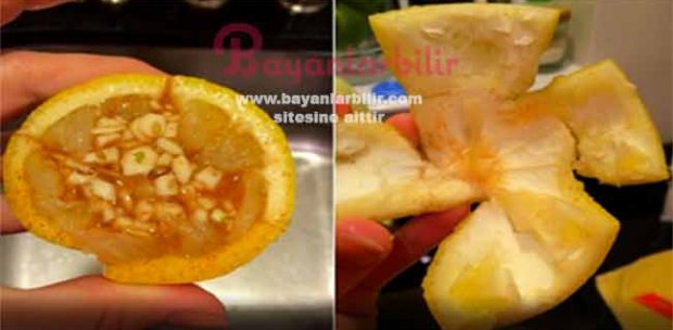Limon kabuğu Sarımsak kürü nasıl yapılır