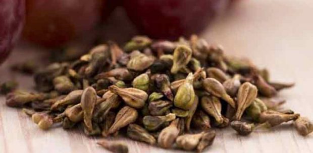 Öğütülmüş siyah üzüm çekirdeği faydaları nedir