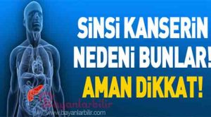 Sinsi kanserin nedenleri