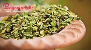 Kurutulmuş karides kökü ile burkulma kas ağrısı tedavisi