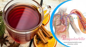 Kan şekerini düşüren tarçın karanfil çayı nasıl yapılır