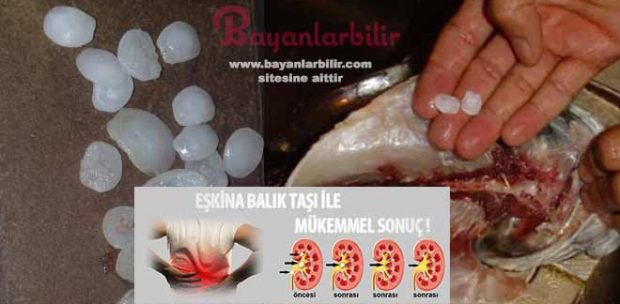 Böbrek taşına iyi gelen eşkina balık taşı nasıl kullanılır