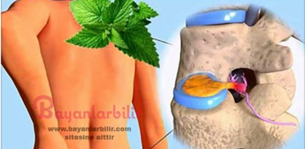 Eklem ağrısına iyi gelen nane biberiye kekik çayı nasıl yapılır