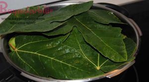 İncir Yaprağı Faydaları – İNCİR’deki GİZLİ MUCİZELER