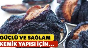 Kuru Erik Kemik Erimesine İyi Geliyor