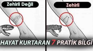 Hayat Kurtaran En İşe Yarar Pratik Bilgiler